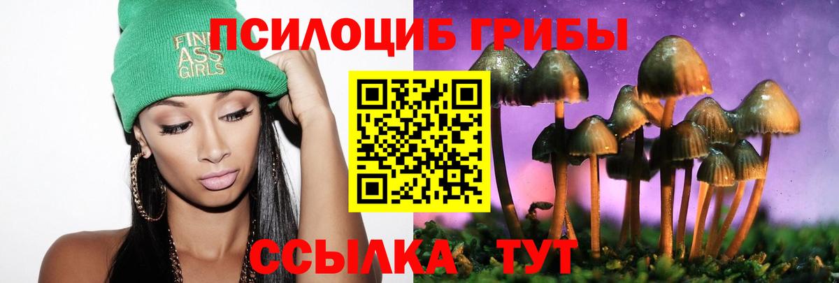 Псилоцибиновые грибы мухоморы  Псилоцибиновые грибы Psilocybine cubensis  Семилуки  Вход с VPN 